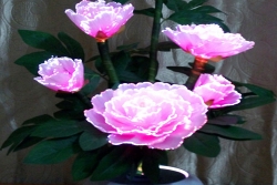 光纤花